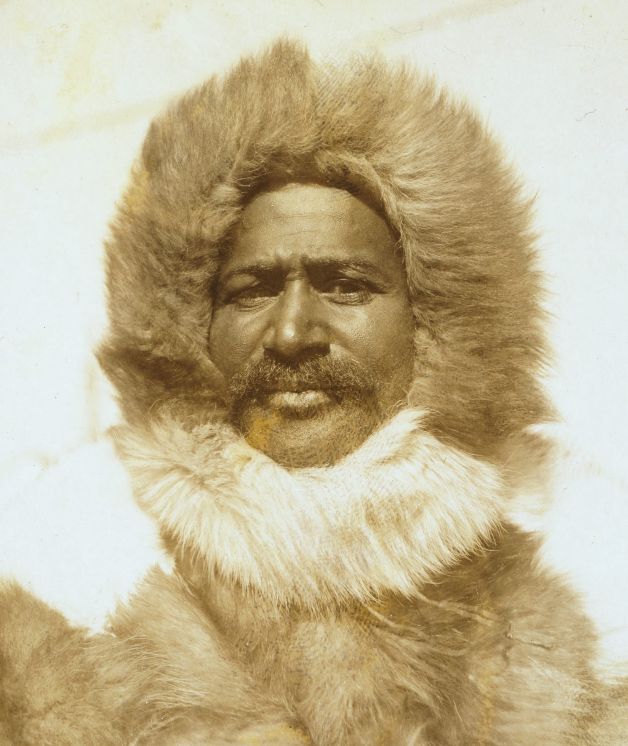 Matthew Alexander Henson, head-and-shoulders portrait, facing front, wearing his fur suit. Circa 1910.