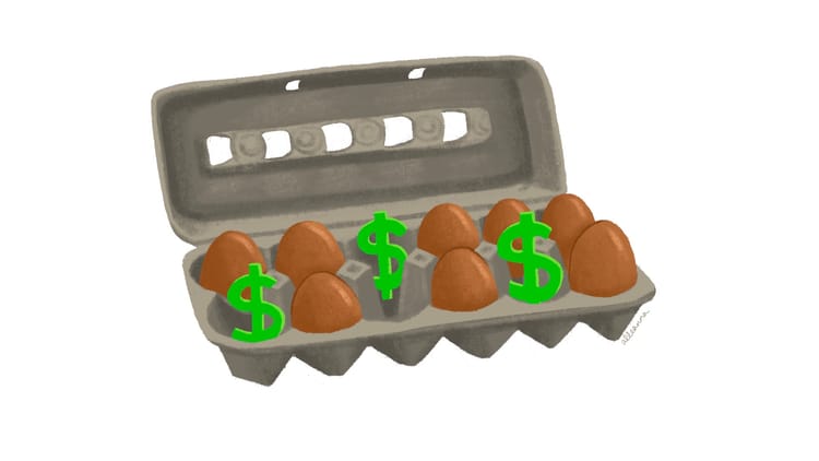 an illustration of jumbo brown pasture raised amish eggs and dollar signs in an egg carton by Alleanna Harris