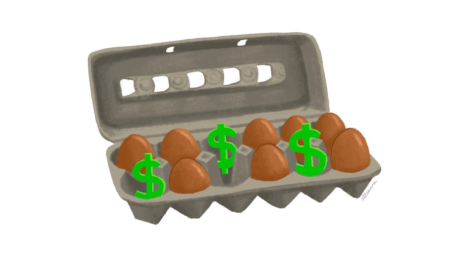 an illustration of jumbo brown pasture raised amish eggs and dollar signs in an egg carton by Alleanna Harris