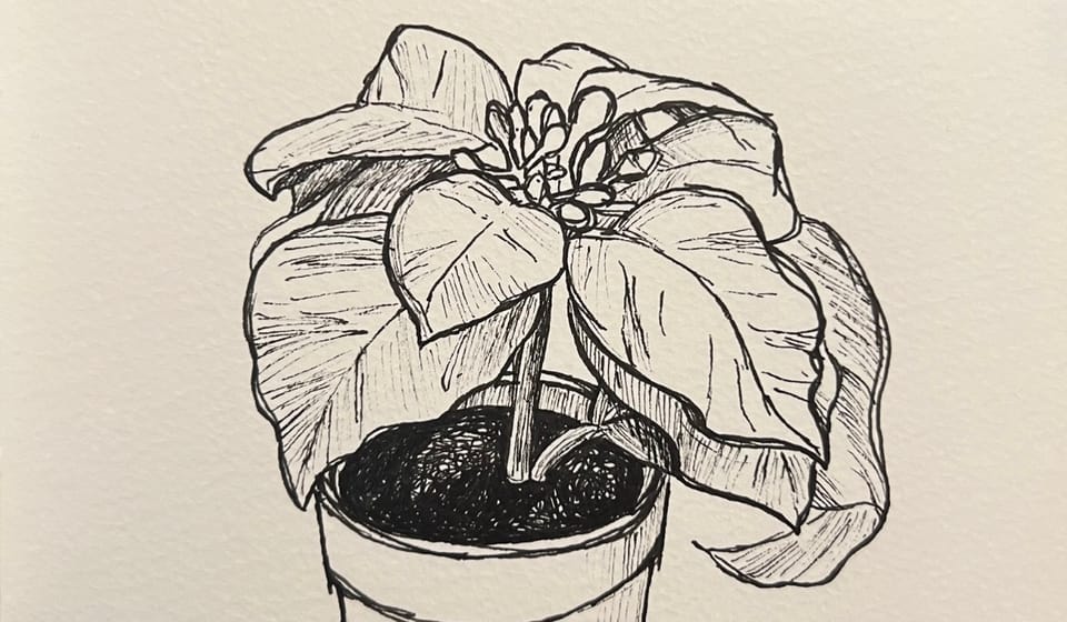 Time to open up the sketchbook.